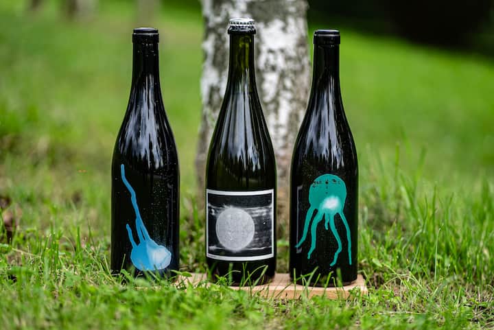 Sequence-13887 (1).jpg