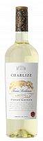 Casa Charlize Pinot Grigio